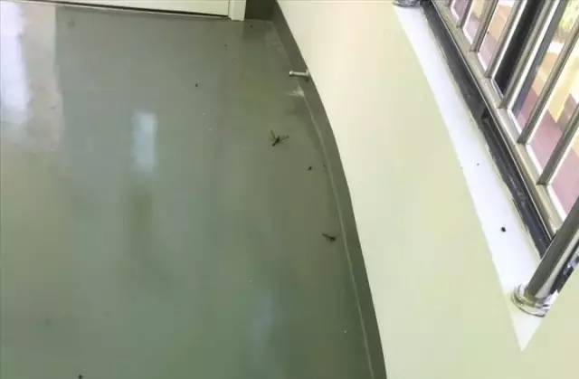 死尸遍地！寧波一幼兒園裝修后現場觸目驚心！