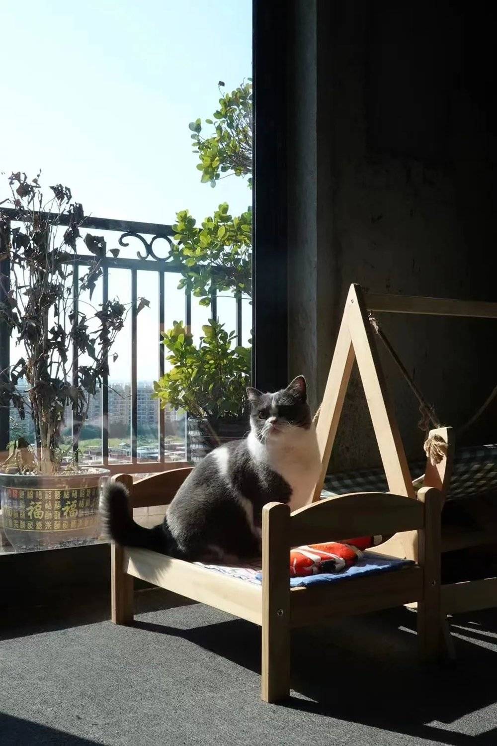 我為什么住進毛坯房？
