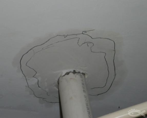 太離譜！3㎡衛生間漏水維修要8300元？