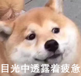 廚房裝修風水禁忌_site99166.com 裝修廚房風水禁忌_廚房衛生間裝修風水禁忌
